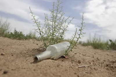 Empty bottle lying on sand